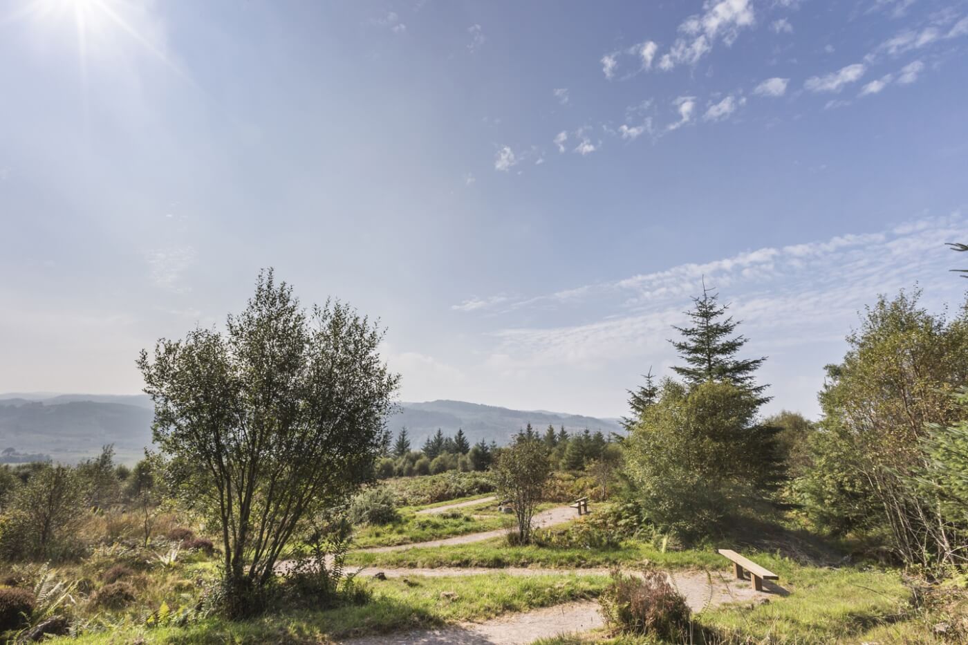 Senderos abiertos entre árboles en el paisaje de Achnabreac.