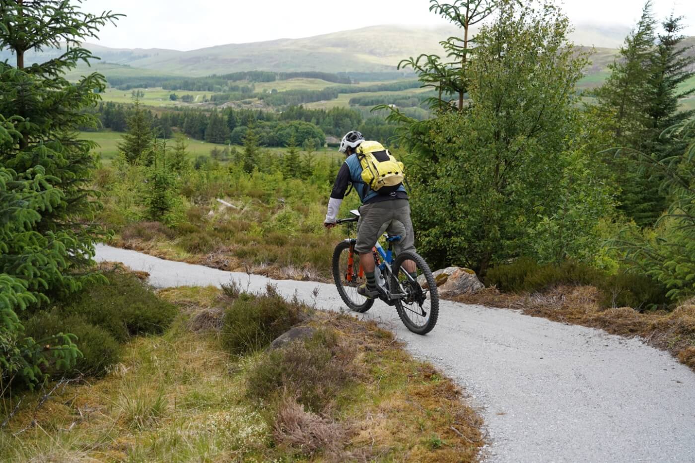 Ciclista de montaña en un sendero entre árboles de Laggan Wolftrax.