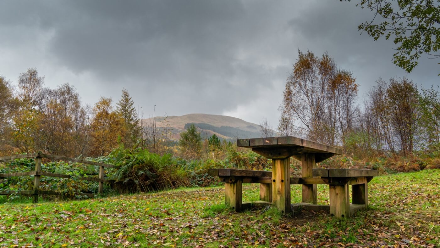 Mesa de picnic entre árboles bajo un cielo nublado en Strone Hill.